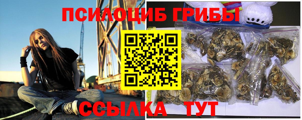Псилоцибиновые грибы Cubensis Когалым